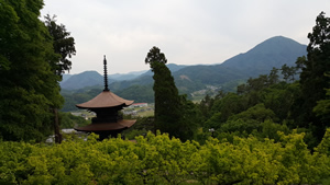Temple